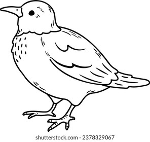 Einfache und bezaubernde White Cheeked Starling Illustration mit nur Skizzen
