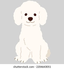 Simple and adorable white colored Poodle dog illustration sitting in front view