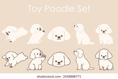 Conjunto de ilustraciones de caniche de juguete de color blanco simple y adorable