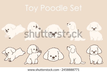 Simple and adorable white colored Toy Poodle illustrations set