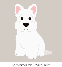 Simple and adorable white Scottish Terrier illustration sitting in front view flat colored