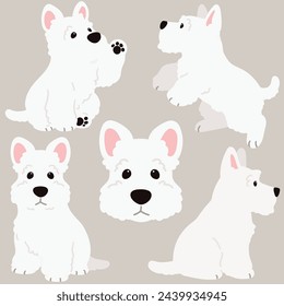 Simple and adorable white Scottish Terrier illustrations flat colored