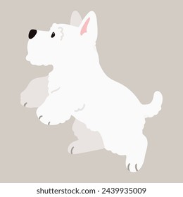 Simple and adorable white Scottish Terrier illustration jumping flat colored