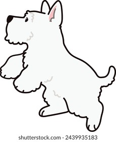 Simple and adorable white Scottish Terrier illustration jumping