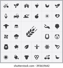 Simple agriculture icons set. Universal agriculture icons to use for web and mobile UI, set of basic agriculture elements