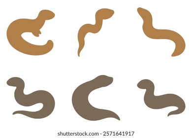 Simple Amphiuma Illustration Design Set