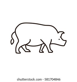 Simple animal line icon isolated. Pig icon