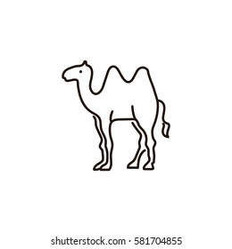 Simple animal line icon isolated. Camel icon