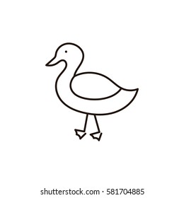 Simple animal line icon isolated. Duck icon