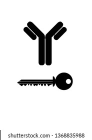 Simple antibody icon and key