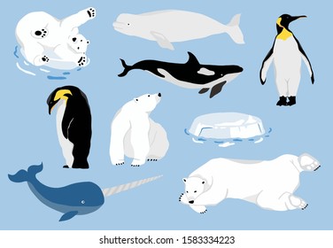 Simple arctic animal with bear polar,penguin,narwhale.Vector illustration character doodle cartoon