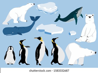 Simple arctic animal with bear polar,penguin,whale.Vector illustration character doodle cartoon