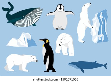 Simple arctic animal with bear polar,penguin,whale.Vector illustration character doodle cartoon