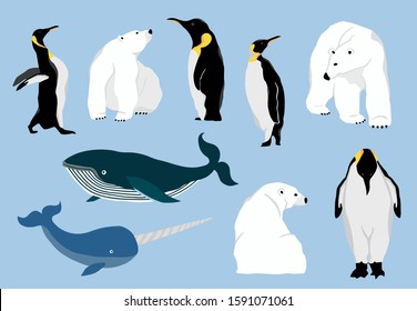 Simple Arctic Animal Bear Polarpenguinwhalevector Illustration Stock ...