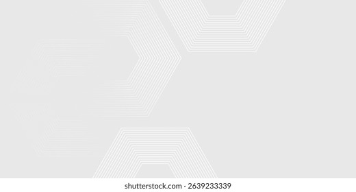 Simple art hexagon white gray wave light technology texture background. Abstract big data digital concept