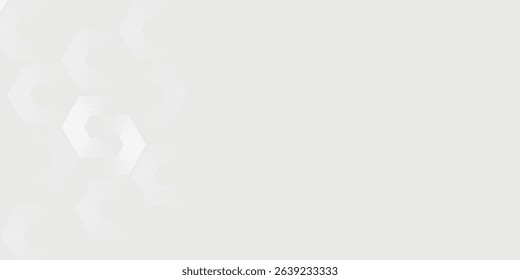 Simple art nice hexagon white gray wave light technology texture background. Abstract big data digital concept