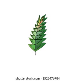 a simple artistic illustration of leaf