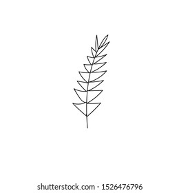 a simple artistic illustration of leaf