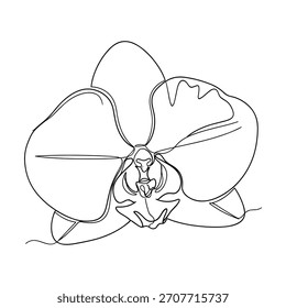 Un dibujo de línea simple y artístico de una hermosa flor de orquídea.