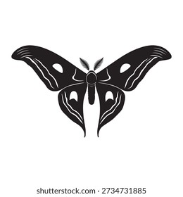 Simple atlas moth silhouette vector on white background