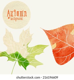 Simple Autumn Background.  Vector Illustration. Eps 10