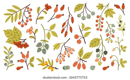 Simple autumn berries and twigs in warm red, orange, green and yellow tones. Different shapes and leaves make this perfect for seasonal designs and cozy fall themes. Flat design vector illustration.