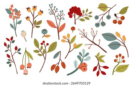 Simples bagas de outono e galhos em tons quentes de vermelho, laranja, verde e amarelo. Diferentes formas e folhas fazem este perfeito para projetos sazonais e temas de queda acolhedor. Ilustração de vetor de design plano.