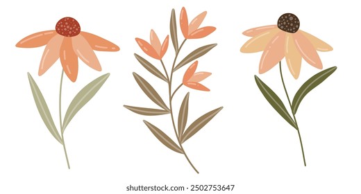 A simple autumn floral illustration featuring two stylized coneflowers and a branch with orange flowers, using muted tones of orange, brown, and green. Perfect for seasonal and botanical designs.