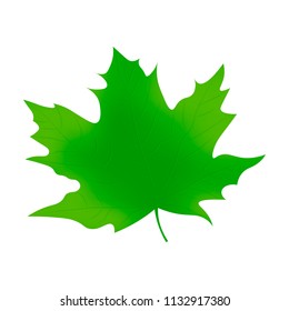 A simple autumn icon. Maple Leaf