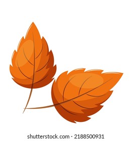 simple autumn leaf, birch leaf, carved leaf