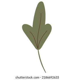 Simple autumn leaf in green color. Autumn design element. Vector illustration