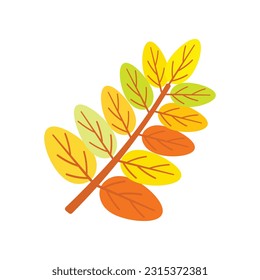 Simple Autumn Leaves Vector Collection Illustration