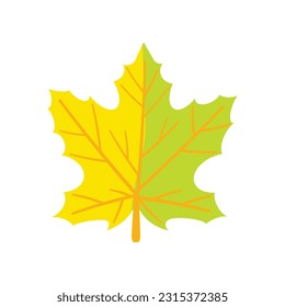 Ilustración de la colección de vectores de hojas de otoño simple