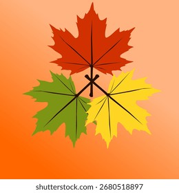 simple autumn maple leaves illustration