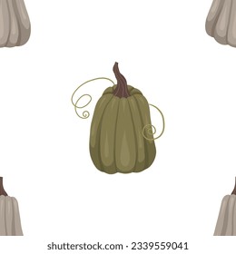 A simple autumn pattern with rare gray and green pumpkins on a white background. Farm textile pattern with vegetables. Natural background for children's clothes, tablecloths and your creativity