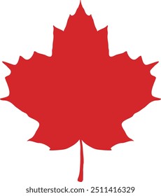 simple autumn red maple leaf