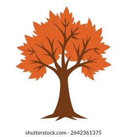 Simple Autumn Tree Illustration on White Background