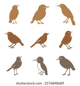 Simple Babbler Bird Illustration Design Set