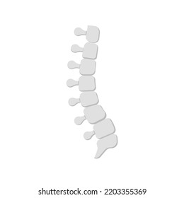 simple backbone flat icon on white background