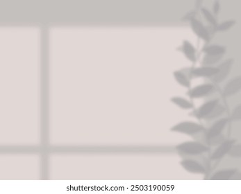Simple background with shadows of windows and leaves on the wall