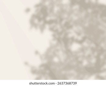 A simple background with tree shadows cast on the wall