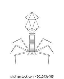 Simple bacteriophage vector with space on top and bottom for writing text.