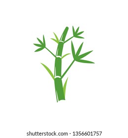 Simple bamboo trees branch and leaves isolated on white background