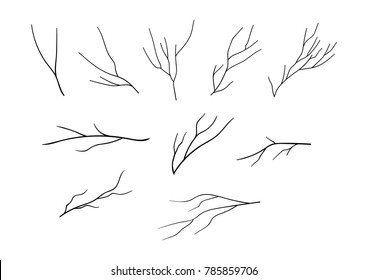 simple bare branch vector set. nature collection ,autumn trees
