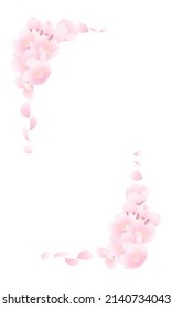 Simple and beautiful cherry blossom frame illustration.