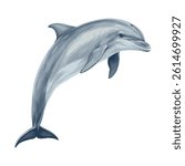 simple beautiful grey bottlenose dolphin