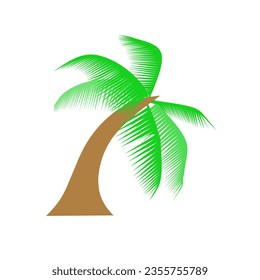 simple and beautiful palm tree illustration 