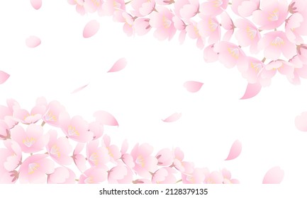 Simple and beautiful vector illustration of a flurry of cherry blossoms.
