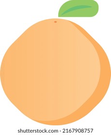 A simple and beautiful vector illustration of an orange.