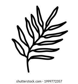 simple beauty branch curve leaf tree vector illustration icon design template with doodle hand drawn outline style